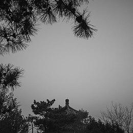 Xbox工作室制作人建议被裁员工求助AI遭到猛烈批评